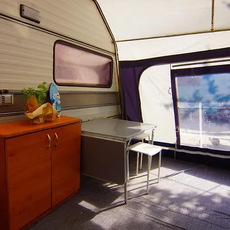 Sonata Camp
