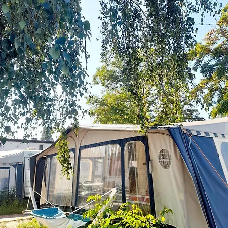 Sonata Camp *