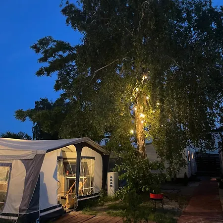 Sonata Camp