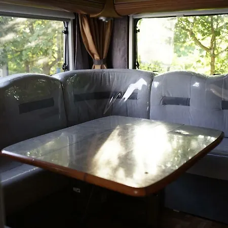 Sonata Camp * 야스타르니아