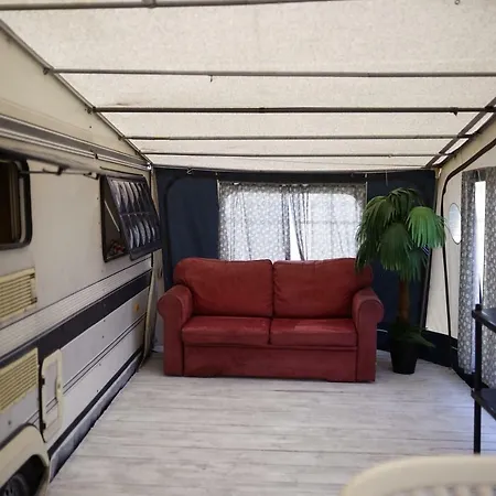 Sonata Camp